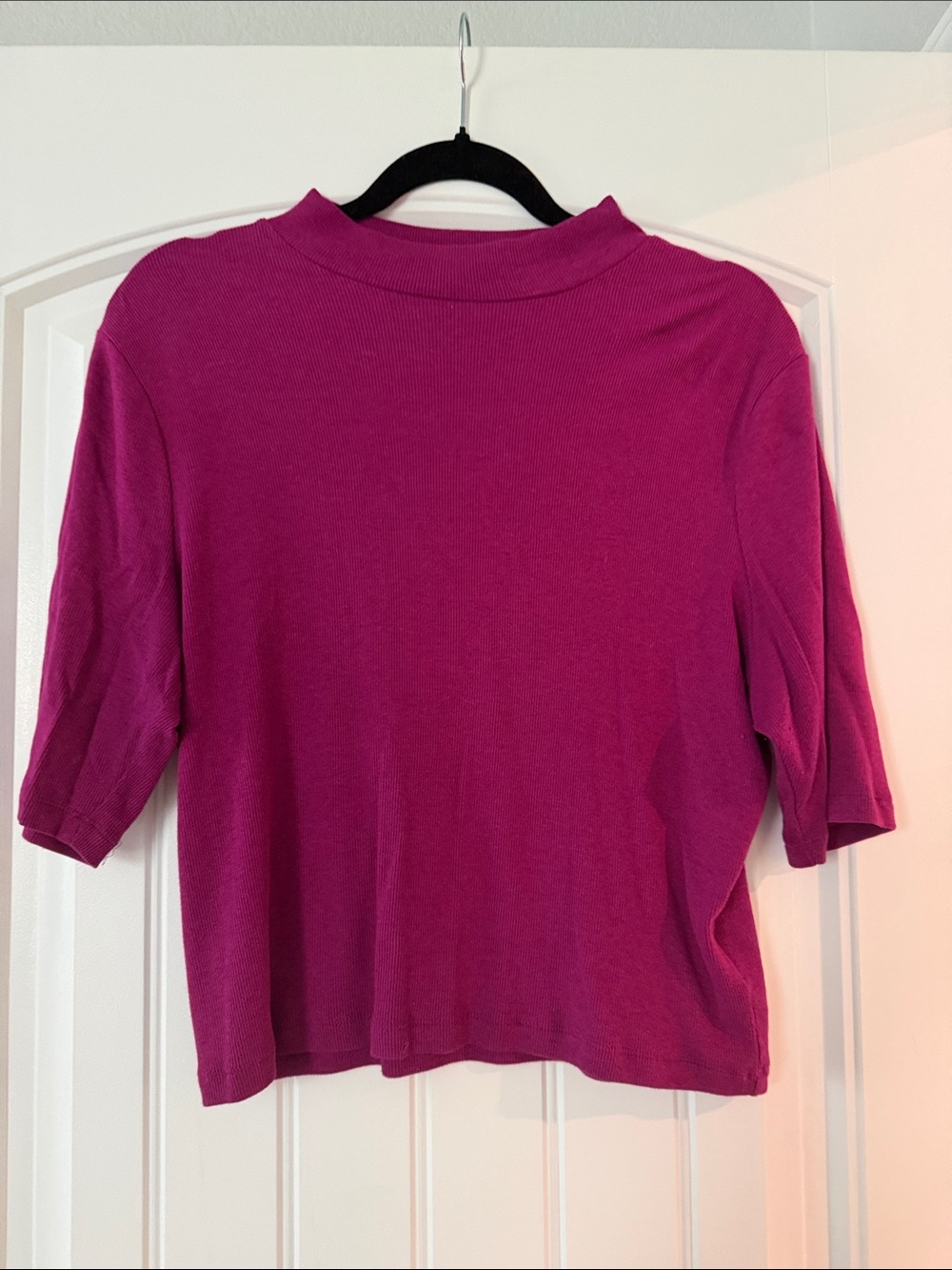 Express Fuchsia Mock Neck Short Sleeve Top